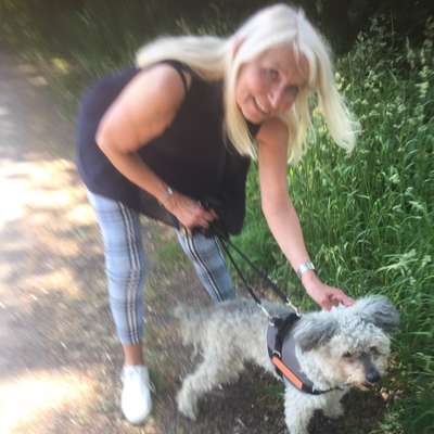 Hundetreffen-Gassirunde mit Hund jeden Alters