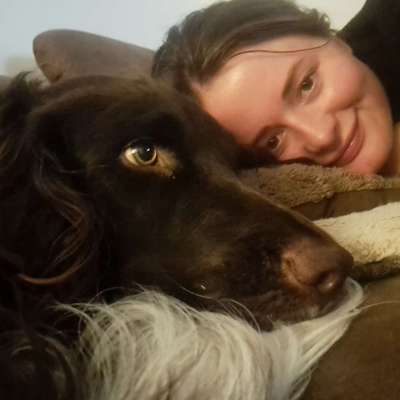 Hundetreffen-Begegnungstraining mit kleinen Spaziergang ohne Hundekontakt