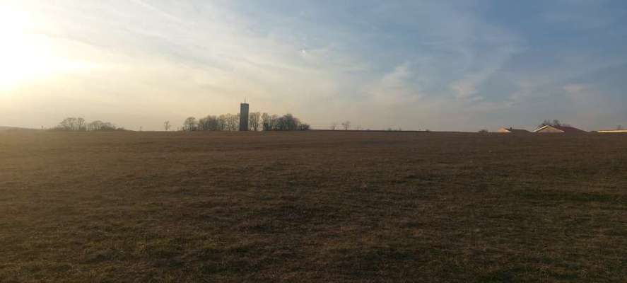 Hundeauslaufgebiet-Flugplatz Schenkenturm-Bild