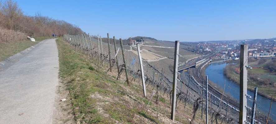 Hundeauslaufgebiet-Weinberge Steinburg-Bild