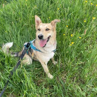 Alexandra's Profilbild