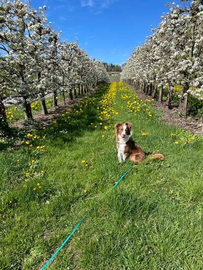 Theos  Fotochallenge Nummer 2-Beitrag-Bild