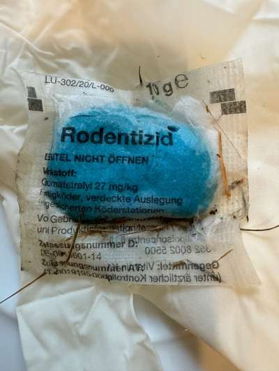 Giftköder-Giftköder-Bild