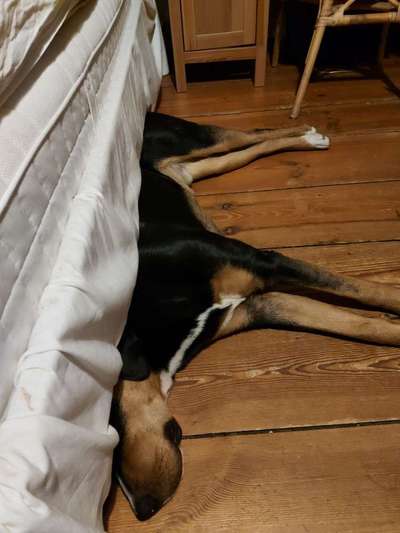 Die unbequemsten und lustigsten Schlafpositionen-Beitrag-Bild