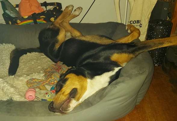 Die unbequemsten und lustigsten Schlafpositionen-Beitrag-Bild