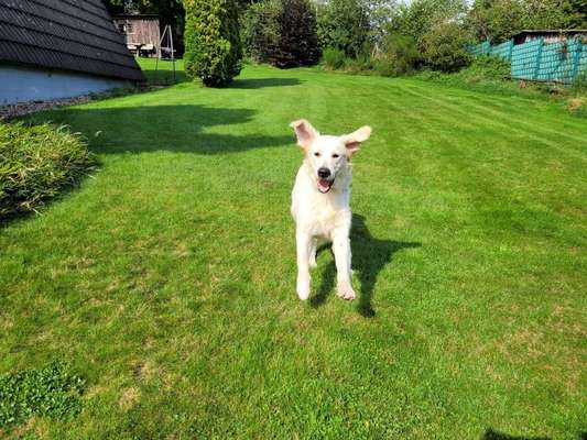 Hier ist der Spaßthread. Zum Schmunzeln und Kaputtlachen-Beitrag-Bild