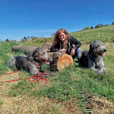 Hundeschulen-Dogs on the hills-Bild