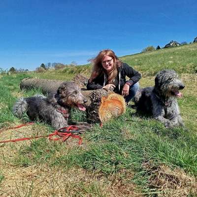 Hundeschulen-Dogs on the hills-Bild