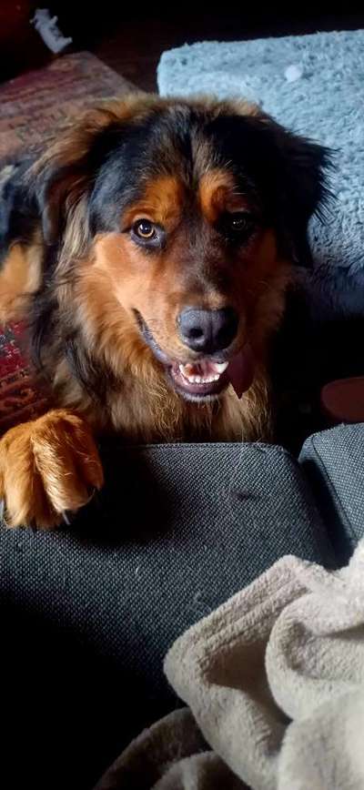 147. Foto Challenge: Bettelblick-Beitrag-Bild