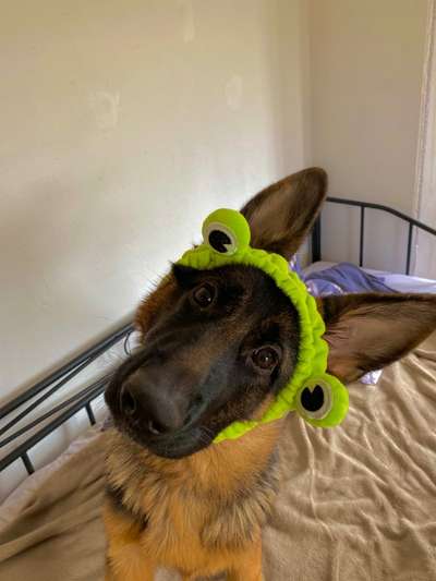 Lieblingsbild :D-Beitrag-Bild