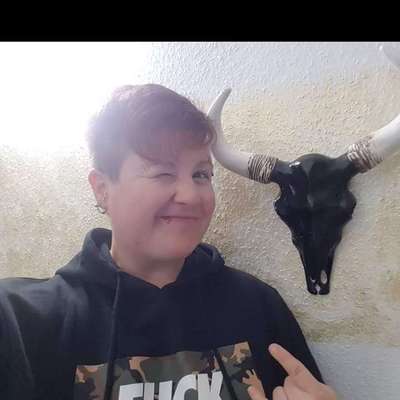 Hundetreffen-Hobbytrailen-Profilbild