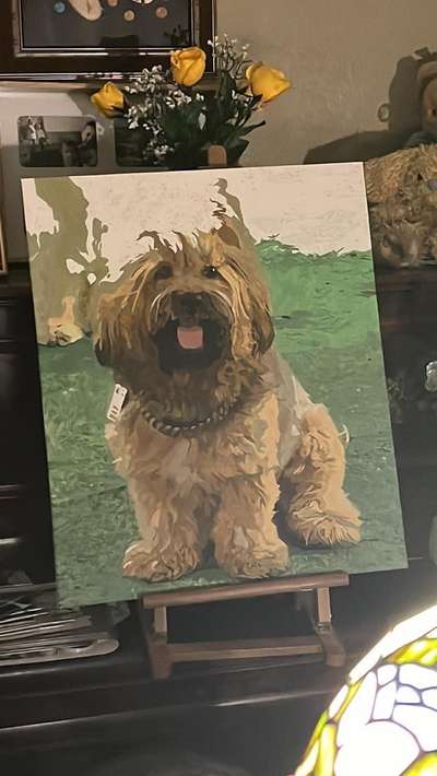 Foto Challenge Nr. 136-Beitrag-Bild