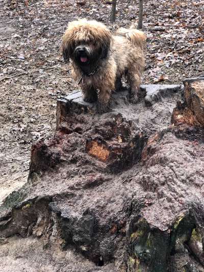 57. Handy Foto Challenge - klettern-Beitrag-Bild