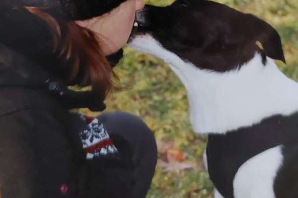 TierschutzhundeStammtisch🐕-Beitrag-Bild