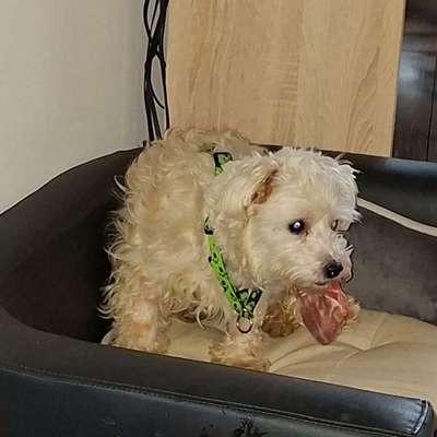 Suchmeldung-Jack-Bild