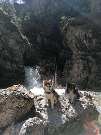 Dogorama-Monats-Challenge-Mai "Wasser"-Beitrag-Bild