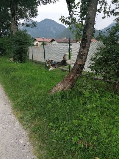 Fotochallenge Nr. 52 „Spring!“-Beitrag-Bild