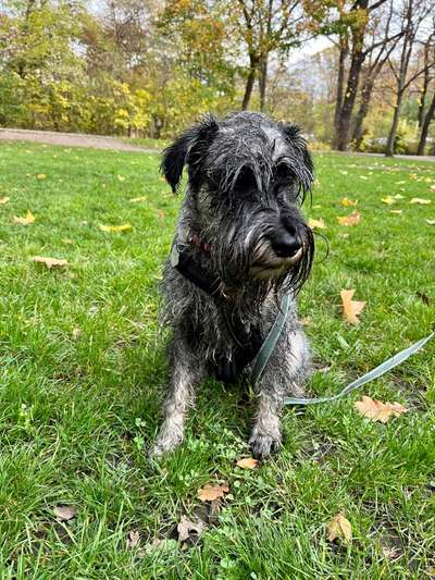 Foto Challenge Nr.133-Beitrag-Bild