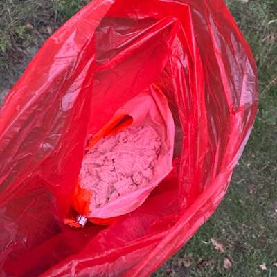 Giftköder-Mögl. Giftköder Wilhelminenaue-Bild