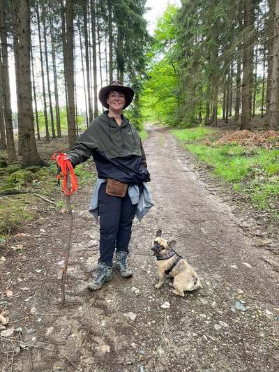 Hundetreffen-Französische Bulldoggen schnüffelrunde Düren-Bild