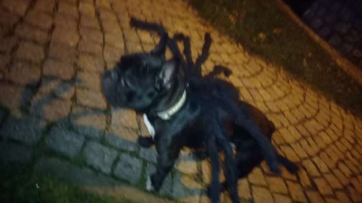 20. Handy -Foto-Callenge-Beitrag-Bild