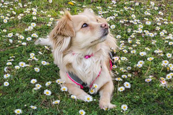 Fotowettbewerb Natur-Beitrag-Bild