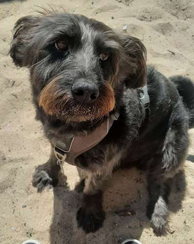 In welchem bundesland lebt ihr-Beitrag-Bild