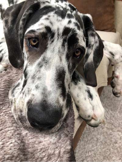 Fotochallange 84-Beitrag-Bild