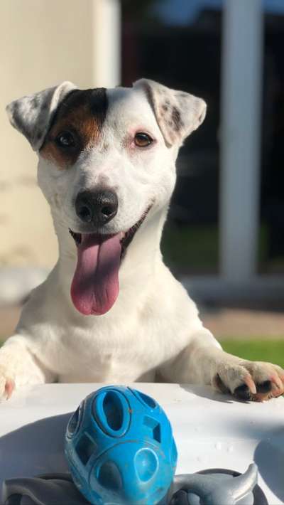 Fotochallange Nr. 57     PORTRÄT.   Beendet!!!!!!!!-Beitrag-Bild