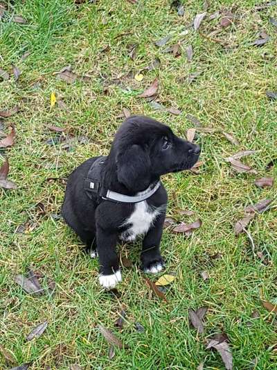 Foto Challenge 3-Beitrag-Bild