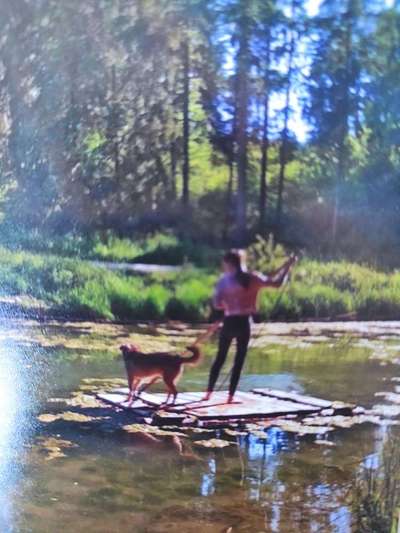 Dogorama-Monats-Challenge-Mai "Wasser"-Beitrag-Bild