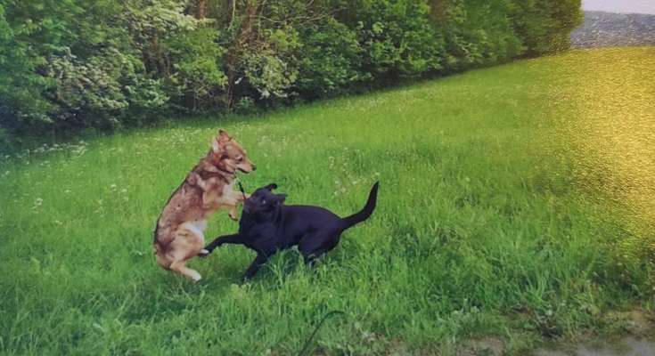 Challenge 30  Freundschaft-Beitrag-Bild