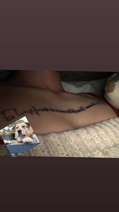 Erinnerungs Tattoos-Beitrag-Bild