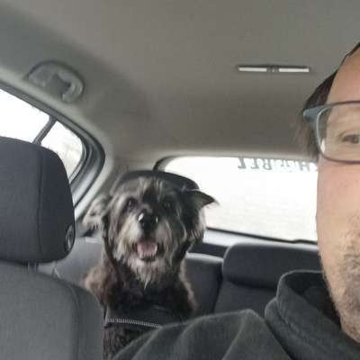 Hundetreffen-Treffpunkt Arbersee Seehaus-Profilbild