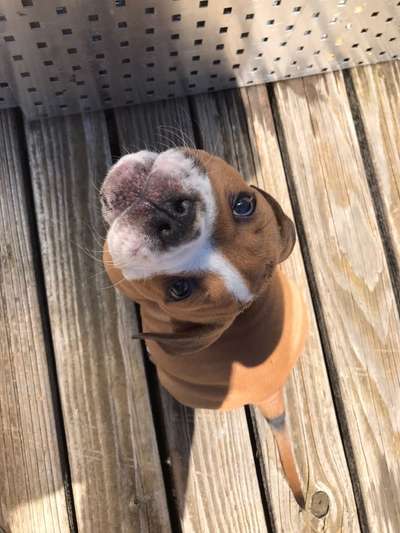 Fotochallange Nummer 5-Beitrag-Bild