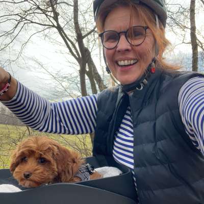 Hundetreffen-Welpentreffen