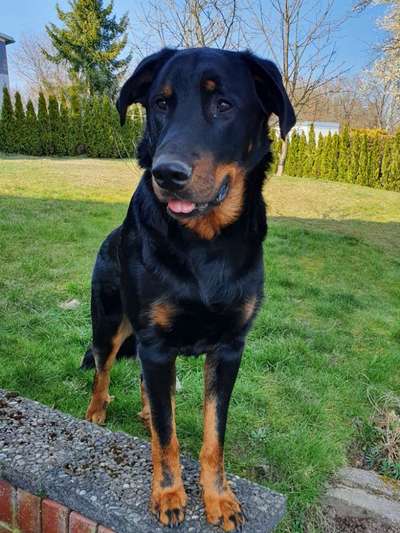 Zeigt eure Portraits-Beitrag-Bild