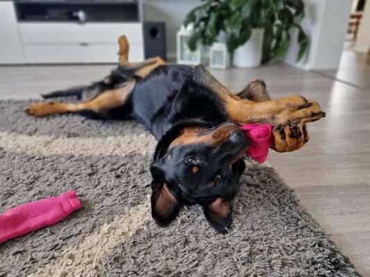 15. Handyfoto Challenge - Indoor Aktivitäten-Beitrag-Bild