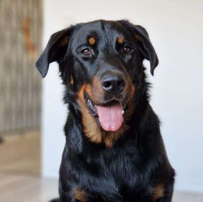 Zeigt eure Portraits-Beitrag-Bild