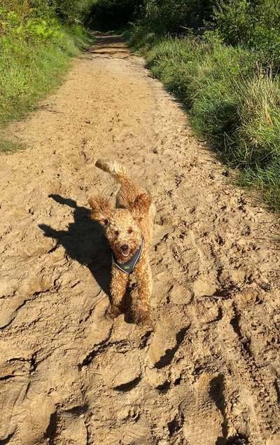 28. Farben Foto Challenge * BEIGE *-Beitrag-Bild