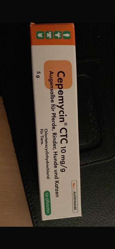 Weiß gelblicher Schleim im Auge-Beitrag-Bild