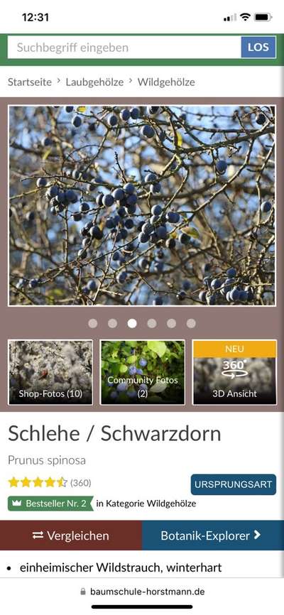 Dunkle Beeren-Beitrag-Bild