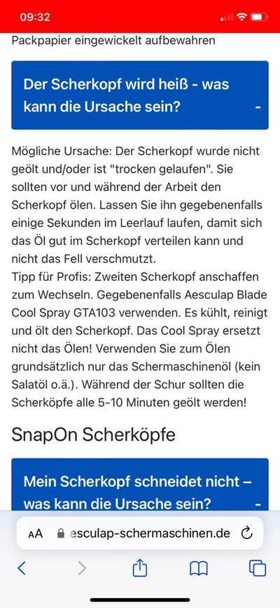 Alles rund um den Pudel-Beitrag-Bild