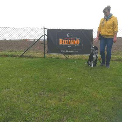 Hundetreffen-Spaziergänge-Profilbild