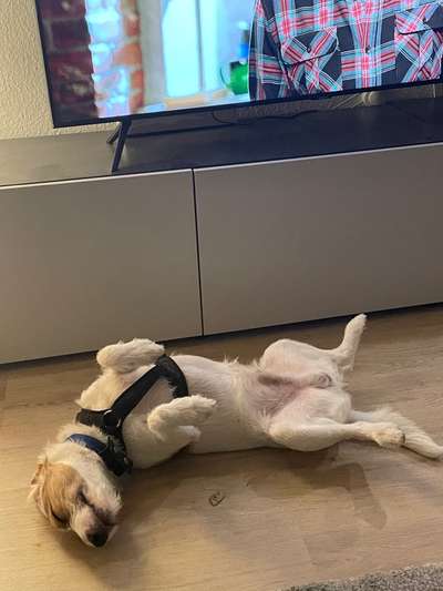 Fotochallenge Nr.65-Beitrag-Bild