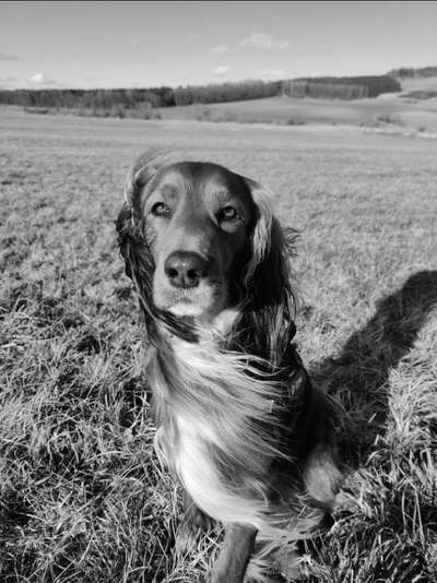 Foto-Challenge 76: Foto in Schwarz-Weiss-Beitrag-Bild