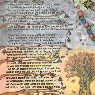 👉 Schläfern wir unsere Hunde zu schnell ein? 🤔-Beitrag-Bild