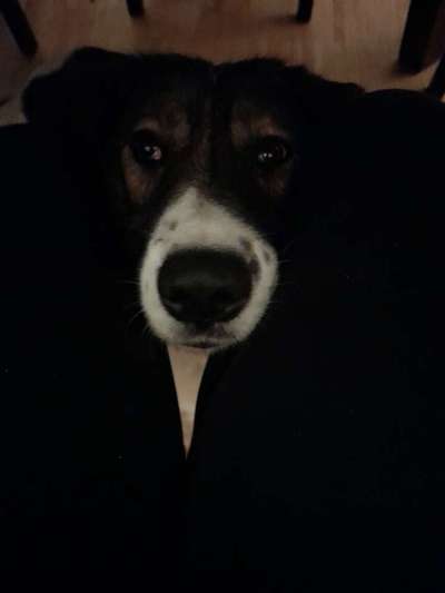 Fotochallange Nr. 57     PORTRÄT.   Beendet!!!!!!!!-Beitrag-Bild