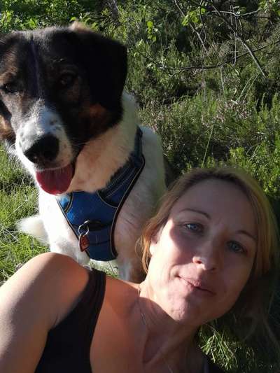 Hundmenschfotos-Beitrag-Bild