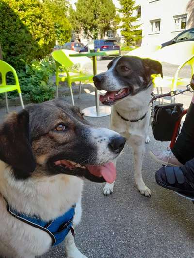 Doppelgänger gesucht !-Beitrag-Bild